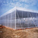 蔬菜防蟲網超結實抗老化溫室大棚專用大廠家直銷