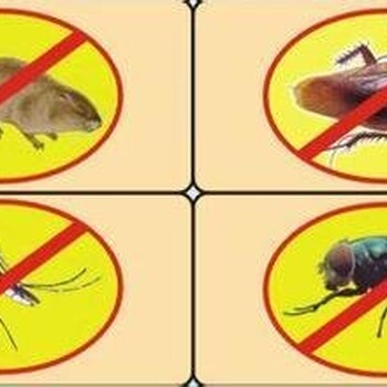 郑州家庭灭蟑螂生物方法安全易解决