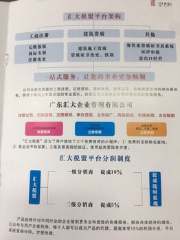 广东汇大企业管理代理记账报税等项目
