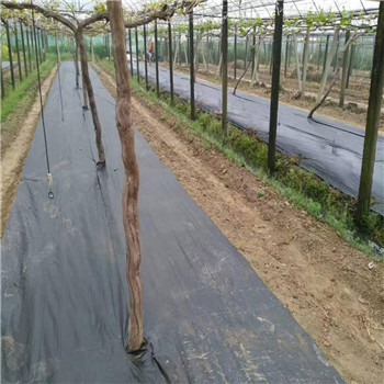 廠家抑草布果樹防草布保濕防草布量大優(yōu)惠
