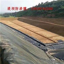 通化氧化塘防渗膜养殖防渗膜多种规格图片