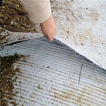 河道水庫垃圾場防滲漏防水毯膨潤土防水毯廠家圖片