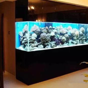 上門清洗魚缸及魚病治療