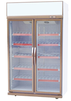 双开门饮料柜电子控温冷柜立式饮料柜冷柜厂家