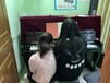 九江冬季音乐教程学吉他学钢琴学唱歌就到中韵琴行