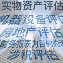 各类资产评估项目报告