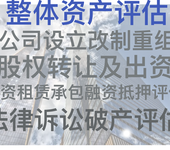 土地使用权的出让、转让评估；企业重组改制课税地价评估