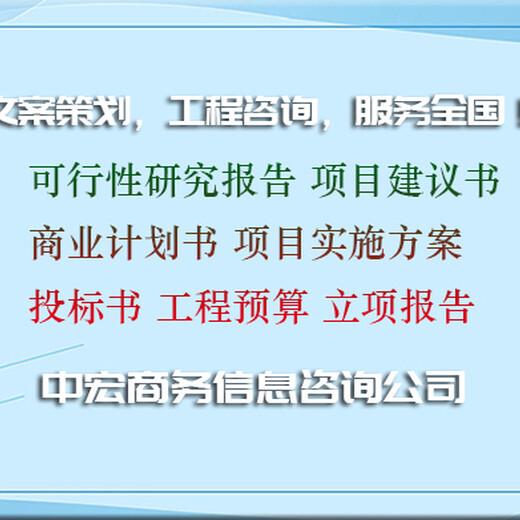 上海写立项可行性研究报告代写报告顾问