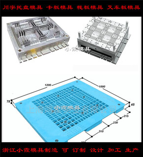 模具制造生产产品组装可定制开模PE站板模具图片1