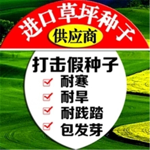 北京黑麦草栽培与管理