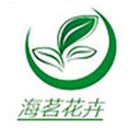 隨州四季青草籽供應商