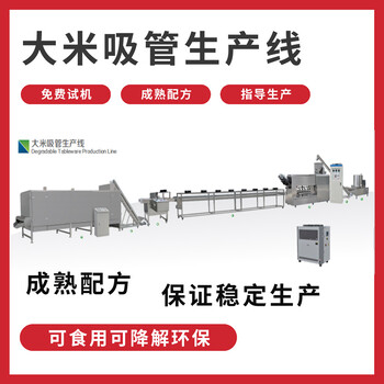 济南盛润厂家定制大米吸管生产设备环保大米吸管生产机械设备