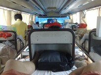 2021:常德大巴到邯郸客车查询乘车资讯图片3