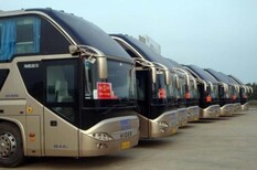2021:常德汽车到徐州客运汽车图片2