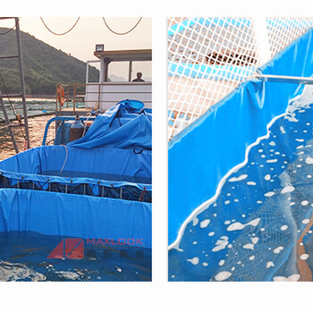 加厚防渗布做的鱼池低成本养虾池钓虾用的大水池