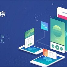 erp产库管理小程序APP开发