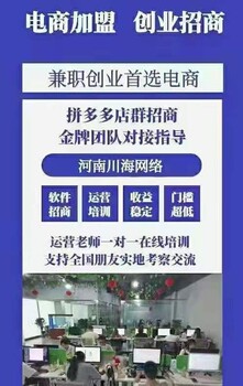 河南本地拼多多店群采集软件代理贴牌，拼多多店群精细化运营培训