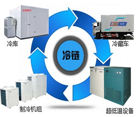 上海市到贵港冷冻货运公司的