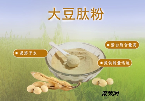 中食都庆(山东）生物技术有限公司