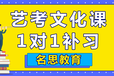 名思教育艺术生补习艺考文化课辅导效果显著