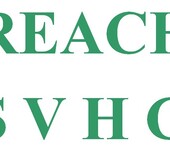 垒球棒球做REACH-SVHC检测报告的要求费用