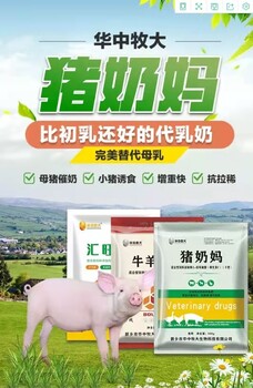 上海怀孕母猪平时保健用啥药汇旺