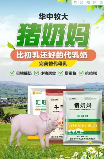 母猪中药保健方案汇旺母猪保健,母猪保健