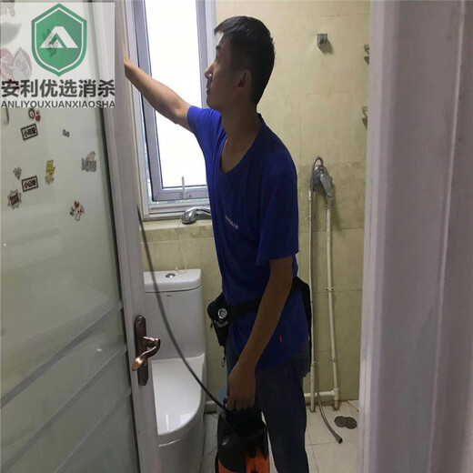 丰台区除虫除蚁一次见效