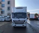 福田欧马可S1宽体冷藏车(国六）图片