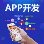 西安网络软件开发APP开发软件定制开发