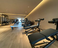 施菲特國產高端健身器材四五星酒店健身中心配套使用河南