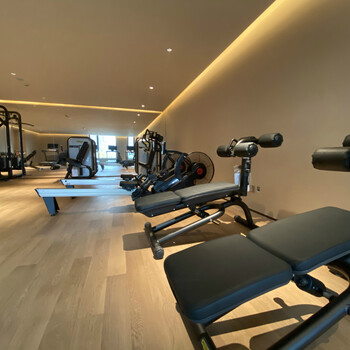 施菲特国产健身器材四五星酒店健身中心配套使用河南