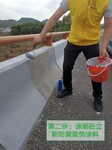 广东、广西等地砼立新混凝土防腐防护装饰涂料厂家