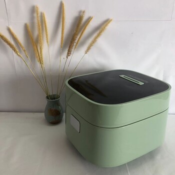 智能低糖电饭煲家用3升全自动沥米汤分离煲低糖养生低糖米饭方煲