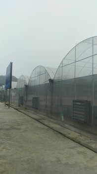 薄膜溫室薄膜大棚連棟型薄膜溫室大棚溫室大棚廠家塑料大棚