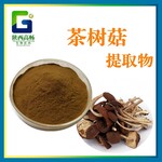 茶树菇提取物茶树菇多糖30%茶树菇速溶粉