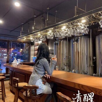 北京史密力维酒店啤酒设备，德国自酿啤酒设备厂家