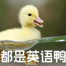 英音?美音?英语启蒙到底选哪一种音?图片