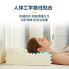 泰國圣格麗乳膠枕，給你健康深睡眠