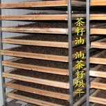 选购油茶籽烘干机的方法图片1