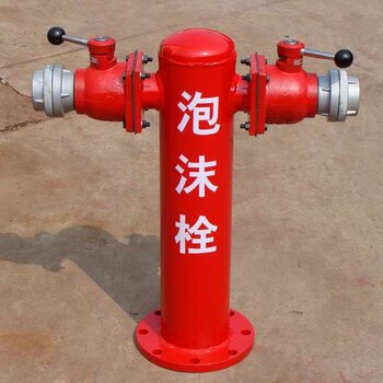 广东省清远市MPS100-65×2-1.6泡沫消火栓
