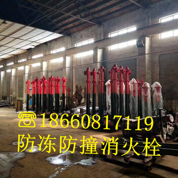 漳州市环球消防SSF100/65-1.6防冻防撞室外地上消火栓厂家
