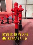 滄州SSFW150/80-1.6快速調壓防凍防撞地上消火栓,防凍防撞地上消火栓圖片0