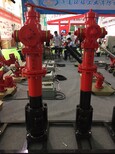 山東濰坊防凍調壓泡沫栓SSFT150/65-1.6K消火栓箱尺寸規格圖片5