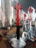 蛟河市防凍防撞地上消火栓SSFD150/80價格實惠圖片0