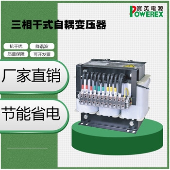 干式隔离变压器100KVA三相变压器可定制容量