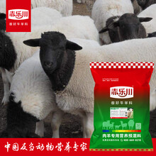 母羊补充维生素微量元素饲料改善体质预防产后瘫痪