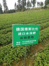 德国进口维斯比伦大量元素水溶肥周行进出口贸易肥料平衡型图片