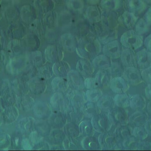 供應IMMEDEWARM中空保暖纖維紗線長絲質量可靠,空調纖維紗線