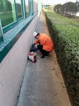 河南滅蟑螂一次多少錢